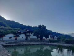 -福建土楼（华安）旅游区•大地土楼群