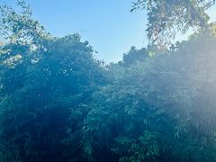 -艾溪湖湿地公园