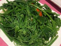 佛手瓜苗-粤北餐馆