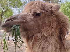 -杭州野生动物世界