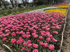 -玄武湖景区-情侣园游乐场