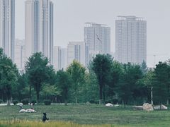 -汉长安城未央宫国家考古遗址公园