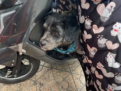 -回回锅贴(小河沿店)