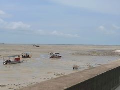 -北海金海湾红树林生态旅游区