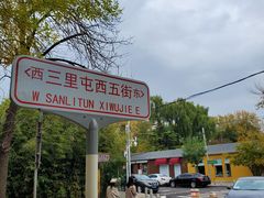 -三里屯东五街银杏大道
