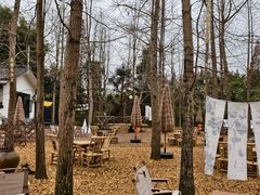 -桤木河湿地公园