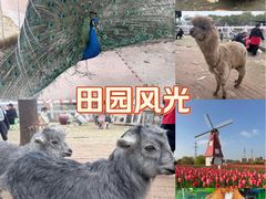 -菊园百果园