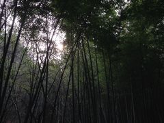 竹林-穹窿山景区