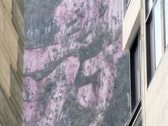-长寿村