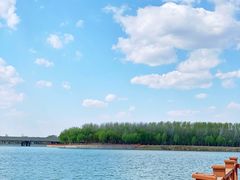 -丁香湖公园