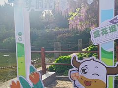 -嘉定紫藤园
