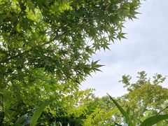 -飞马旅黎黄陂路文旅街区