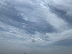 -空中草原