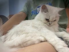 -1013 PET SHOP 宠物商店(近铁城市广场店)