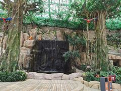 -祥源·阜阳生态乐园