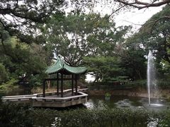 -九龙公园