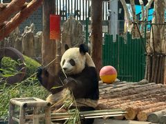 -大连森林动物园