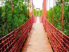 -吴淞炮台湾湿地森林公园烧烤区