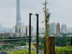 -小茶闲舍·观景商务茶馆(广州塔店)