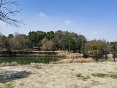-白塔湖国家湿地公园