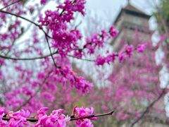 -天台山赤城山景区
