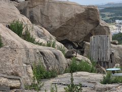 -西霞口神雕山野生动物世界