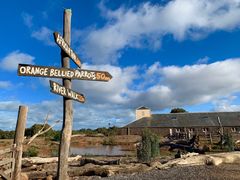 -威勒比开放式动物园