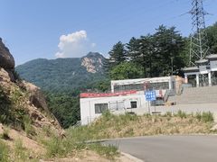 -六里坪国家森林公园