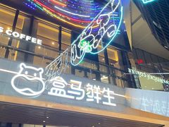 门面-盒马鲜生(帝斯曼店)