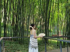 -云溪植物园