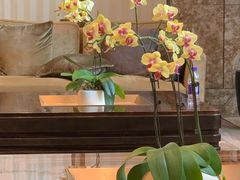 -杭州城中香格里拉大酒店