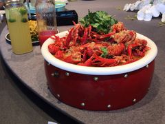 -羲和雅苑•北京烤鸭(平安国际金融中心店)