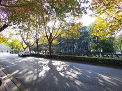 -大叔家福鼎小吃(十全街店)