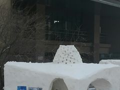 -哈尔滨工业大学-图书馆