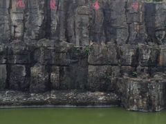-海南热带野生动植物园