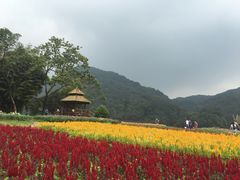-广州市石门国家森林公园