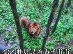 -哈尔滨北方森林动物园