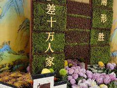 -杭州植物园