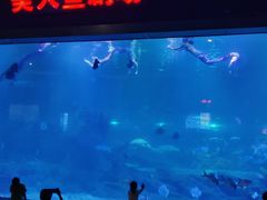 -福州罗源湾海洋世界旅游区