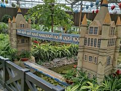 -南宫五洲植物乐园