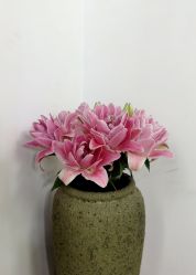 -翎兰瑜伽·普拉提