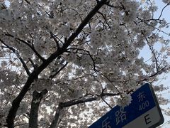 -永乐路-路侧停车场