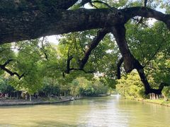 -西溪国家湿地公园