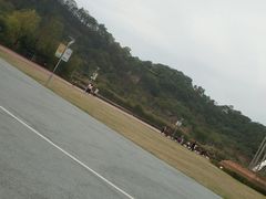 -飞凤山奥体公园