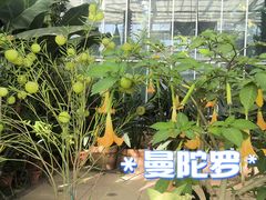 -国家植物园南园