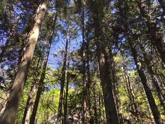 -罗田薄刀峰风景区