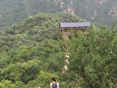 -大岭沟猕猴桃谷风景区