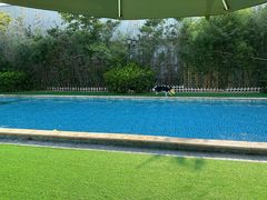 -汪说喵讲宠物乐园宠物酒店(红星美凯龙店)