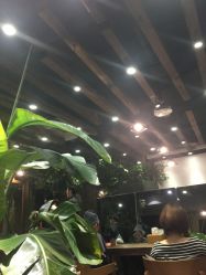 -V-STAR威斯达•高级私人定制