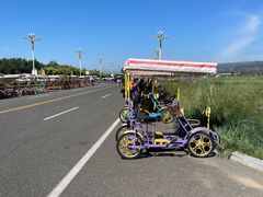 -敕勒川草原